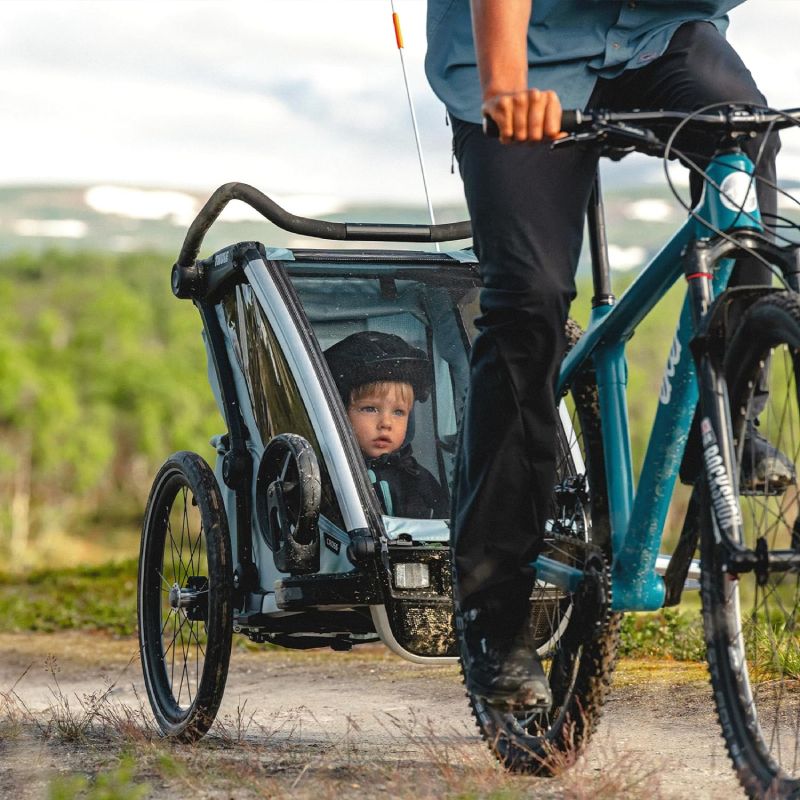Fahrradanhanger Baby Test